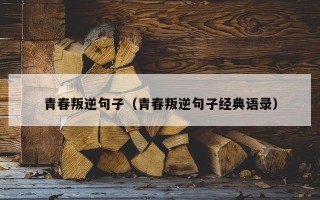 青春叛逆句子（青春叛逆句子经典语录）