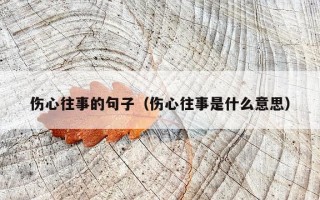 伤心往事的句子（伤心往事是什么意思）