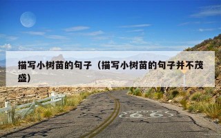 描写小树苗的句子（描写小树苗的句子并不茂盛）