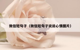 微信短句子（微信短句子说说心情图片）