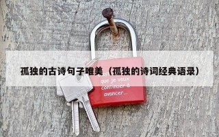 孤独的古诗句子唯美（孤独的诗词经典语录）