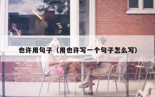 也许用句子（用也许写一个句子怎么写）