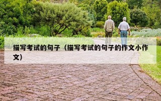 描写考试的句子（描写考试的句子的作文小作文）