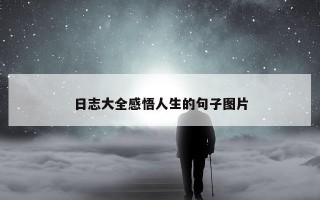 日志大全感悟人生的句子图片