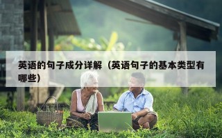 英语的句子成分详解（英语句子的基本类型有哪些）