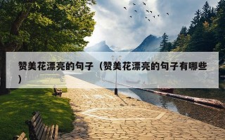 赞美花漂亮的句子（赞美花漂亮的句子有哪些）
