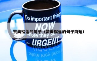 赞美榴莲的句子（赞美榴莲的句子简短）