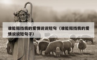 谁能阻挡我的爱情说说短句（谁能阻挡我的爱情说说短句子）