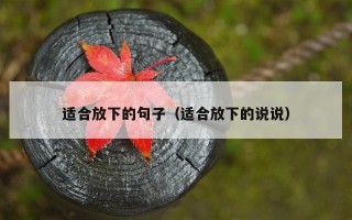 适合放下的句子（适合放下的说说）