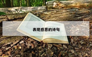 表现感恩的诗句 表现感恩的诗句