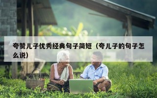 夸赞儿子优秀经典句子简短（夸儿子的句子怎么说）