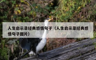 人生启示录经典感悟句子（人生启示录经典感悟句子图片）