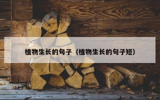 植物生长的句子（植物生长的句子短）