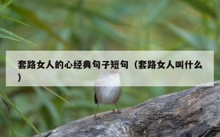 套路女人的心经典句子短句（套路女人叫什么）