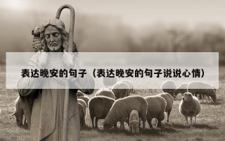 表达晚安的句子（表达晚安的句子说说心情）