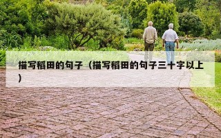 描写稻田的句子（描写稻田的句子三十字以上）