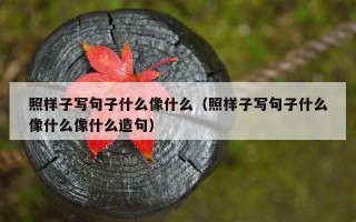 照样子写句子什么像什么（照样子写句子什么像什么像什么造句）