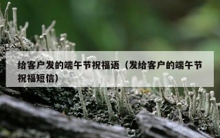 给客户发的端午节祝福语（发给客户的端午节祝福短信）