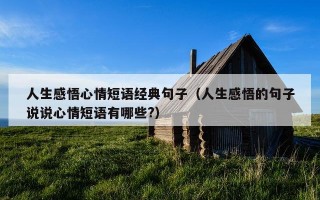 人生感悟心情短语经典句子（人生感悟的句子说说心情短语有哪些?）