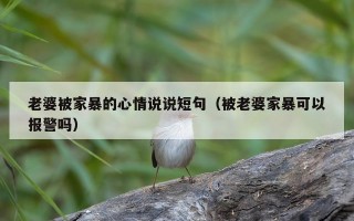 老婆被家暴的心情说说短句（被老婆家暴可以报警吗）