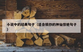 小说中的经典句子（适合摘抄的神仙惊艳句子）