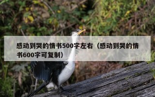 感动到哭的情书500字左右（感动到哭的情书600字可复制）
