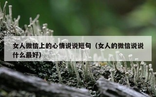 女人微信上的心情说说短句（女人的微信说说什么最好）