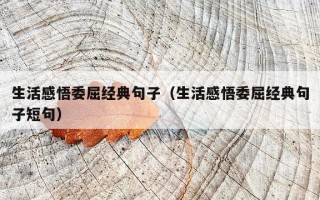 生活感悟委屈经典句子（生活感悟委屈经典句子短句）