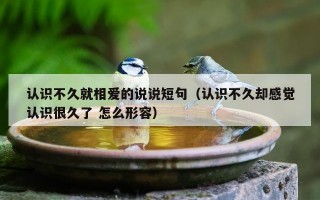 认识不久就相爱的说说短句（认识不久却感觉认识很久了 怎么形容）