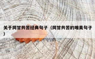 关于同甘共苦经典句子（同甘共苦的唯美句子）