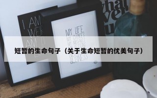 短暂的生命句子（关于生命短暂的优美句子）