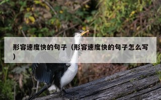 形容速度快的句子（形容速度快的句子怎么写）
