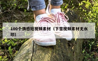 100个情感短视频素材（下雪视频素材无水印）