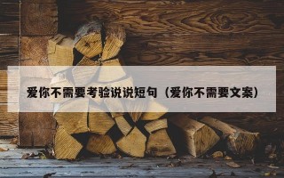 爱你不需要考验说说短句（爱你不需要文案）