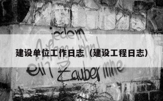 建设单位工作日志（建设工程日志）