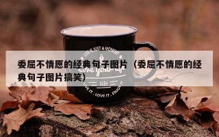 委屈不情愿的经典句子图片（委屈不情愿的经典句子图片搞笑）