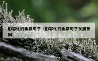 形容忙的幽默句子（形容忙的幽默句子发朋友圈）