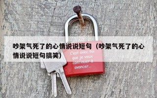 吵架气死了的心情说说短句（吵架气死了的心情说说短句搞笑）