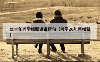 二十年同学相聚说说短句（同学20年再相聚）