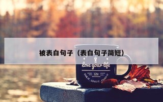 被表白句子（表白句子简短）