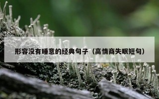 形容没有睡意的经典句子（高情商失眠短句）