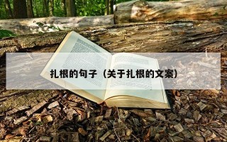 扎根的句子（关于扎根的文案）