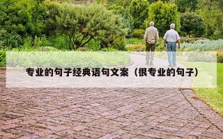专业的句子经典语句文案（很专业的句子）