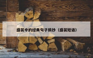 盛装中的经典句子摘抄（盛装短语）