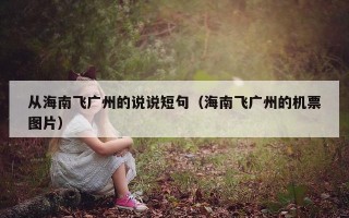 从海南飞广州的说说短句（海南飞广州的机票图片）