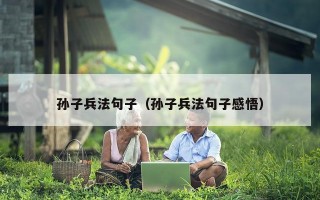 孙子兵法句子（孙子兵法句子感悟）