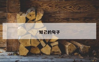 知己的句子 知己的句子