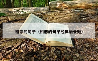 相恋的句子（相恋的句子经典语录短）