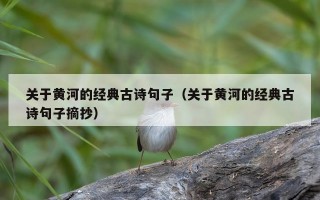 关于黄河的经典古诗句子（关于黄河的经典古诗句子摘抄）