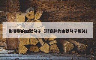 形容胖的幽默句子（形容胖的幽默句子搞笑）